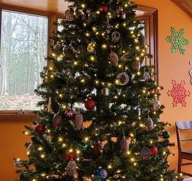Yes, Virginia, I Put Up My Christmas Tree