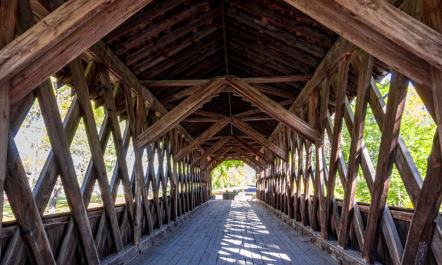 Rise and Shine: Nov. 16, 2020