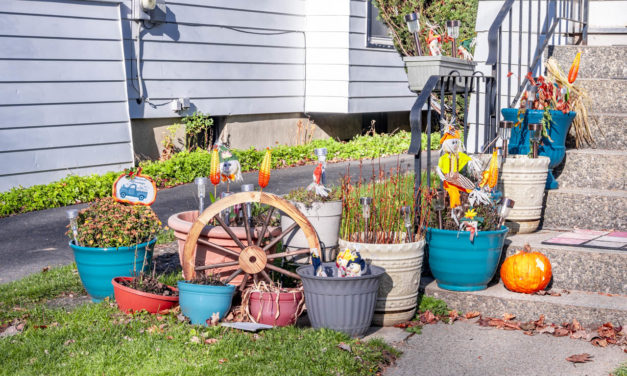 Rise and Shine: Dec. 1, 2020