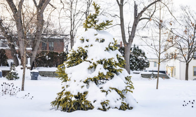 Rise and Shine: Dec. 22, 2020