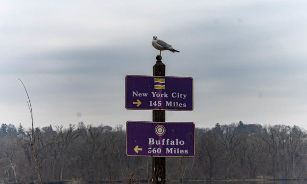 Rise and Shine: Jan. 4, 2021