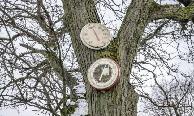 Rise and Shine: Jan. 15, 2021