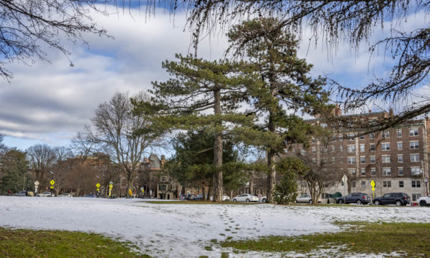 Rise and Shine: Jan. 20, 2021