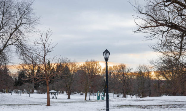 Rise and Shine: Jan. 29, 2021