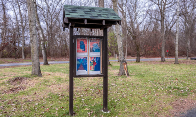 Rise and Shine: Jan. 8, 2021