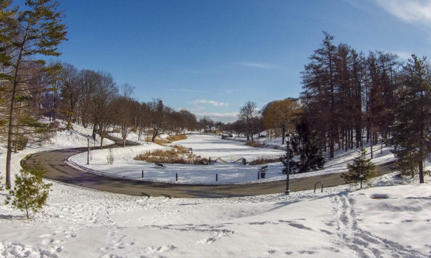 Albany to open Washington Park Lake for ice skating