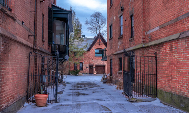 Rise and Shine: Feb. 1, 2021