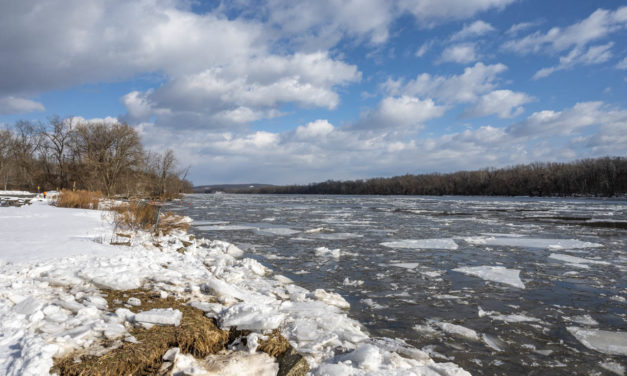 Rise and Shine: Feb. 12, 2021