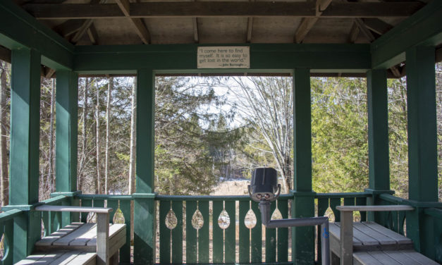 Rise and Shine: March 23, 2021