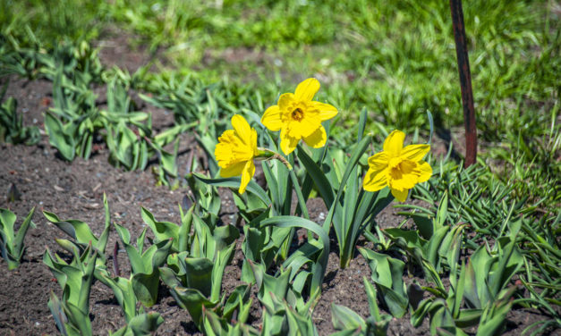 Rise and Shine: April 12, 2021