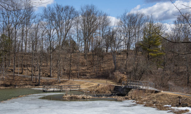 Rise and Shine: April 1, 2021