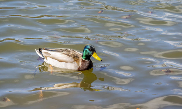 Rise and Shine: April 16, 2021