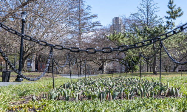 Rise and Shine: April 9, 2021