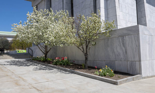 Rise and Shine: May 5, 2021