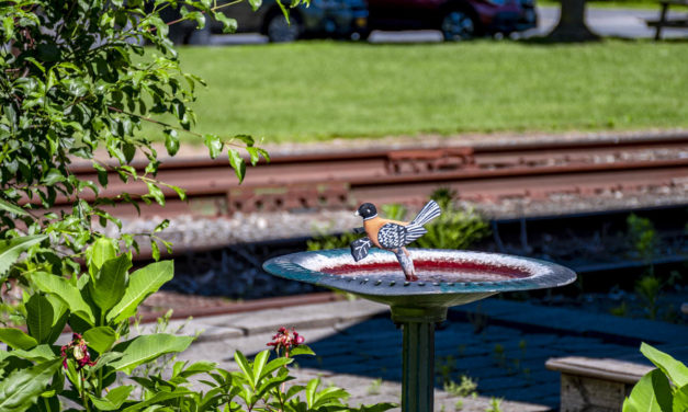 Rise and Shine: June 21, 2021