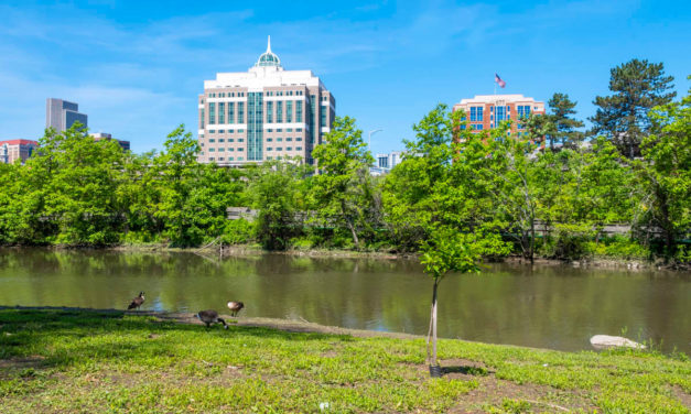 Rise and Shine: July 1, 2021