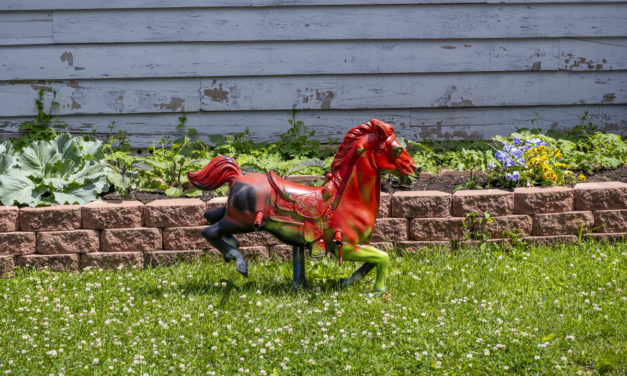 Rise and Shine: July 2, 2021