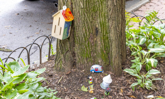 Rise and Shine: July 16, 2021