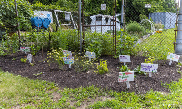 Rise and Shine: July 13, 2021