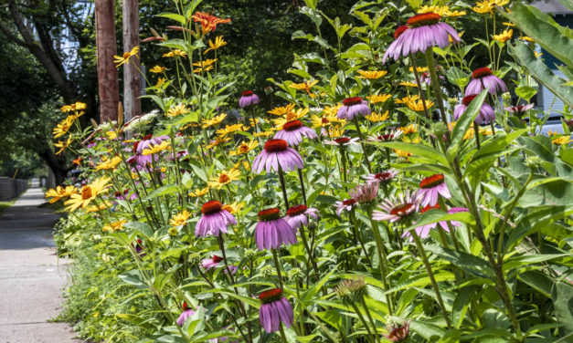 Rise and Shine: July 15, 2021