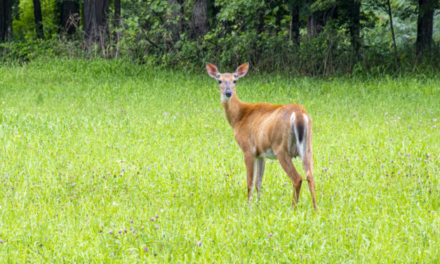 Rise and Shine: July 28, 2021