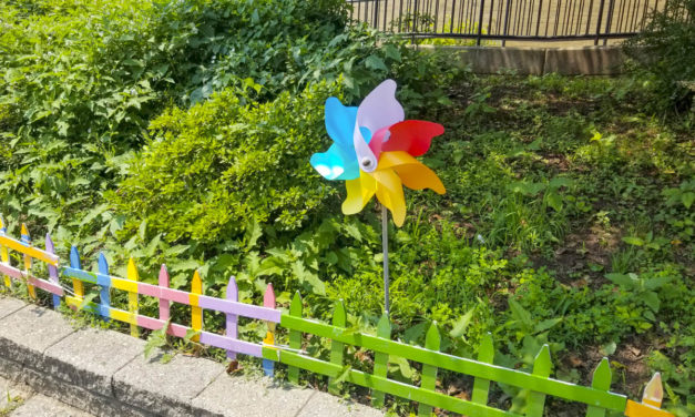 Rise and Shine: Aug. 6, 2021