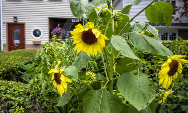 Rise and Shine: Aug. 12, 2021