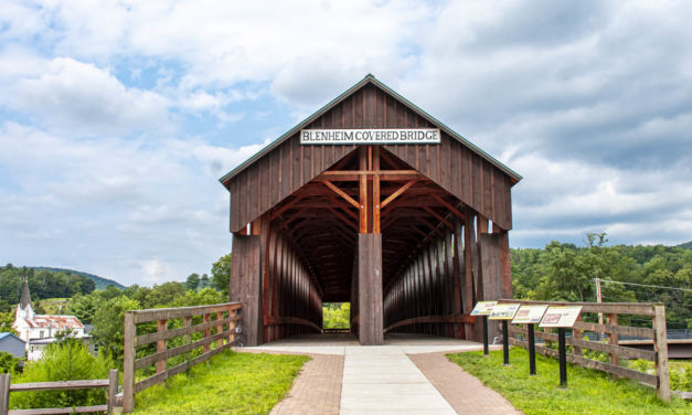 Rise and Shine, Aug. 9,2021