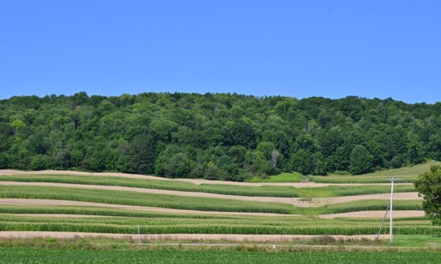 Rise and Shine: Aug. 31, 2021