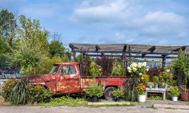 Rise and Shine: Aug. 17, 2021