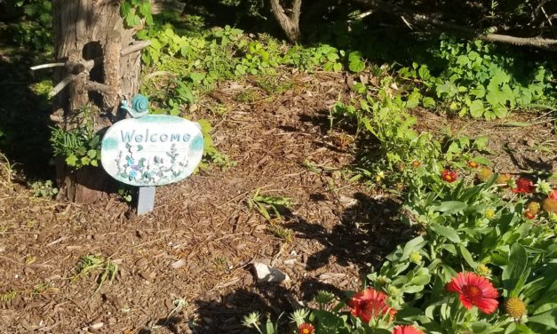 Rise and Shine: Sept. 28, 2021