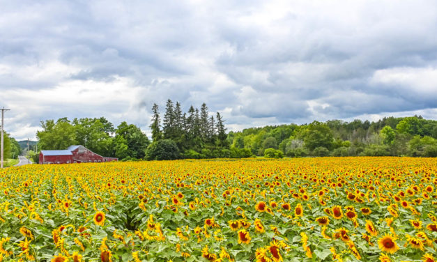 Rise and Shine: Sept. 7, 2021