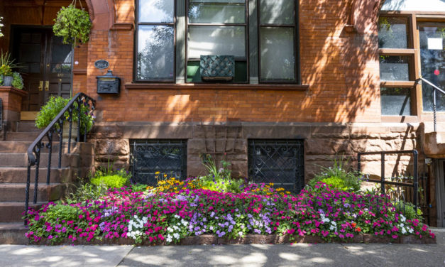 Rise and Shine: Sept. 10, 2021