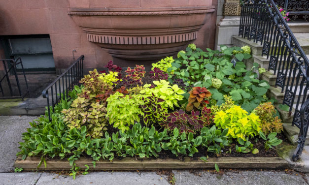 Rise and Shine: Sept. 17, 2021