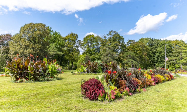 Rise and Shine: Oct. 29, 2021