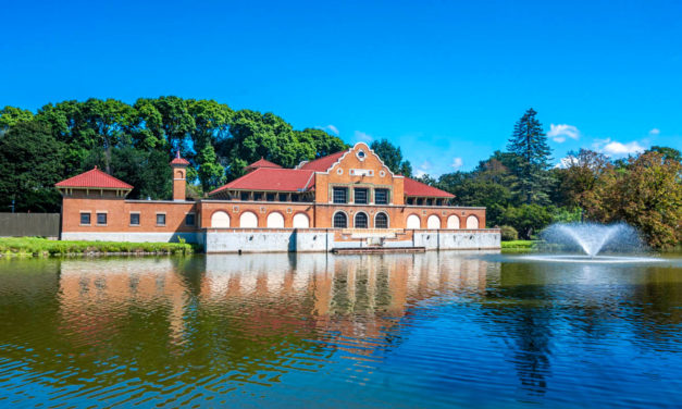 Rise and Shine: Oct. 19, 2021