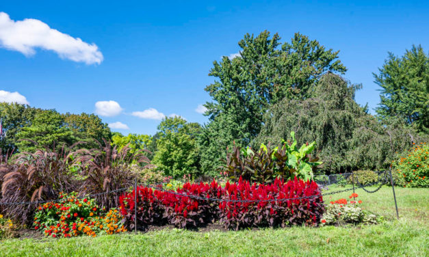 Rise and Shine: Oct. 15, 2021