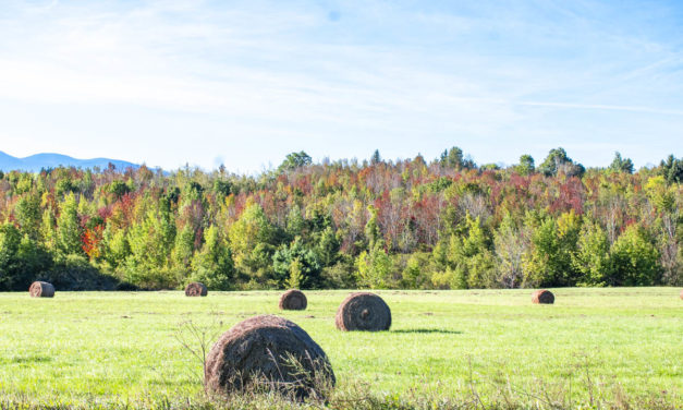 Rise and Shine: Oct. 6, 2021