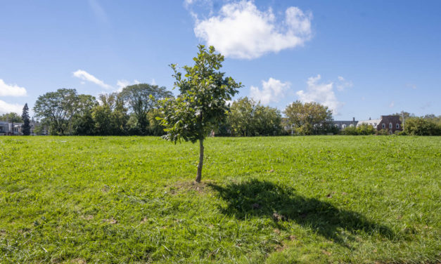 Rise and Shine: Oct. 26, 2021