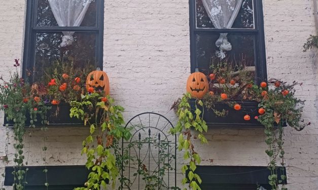 Rise and Shine: Nov. 1, 2021