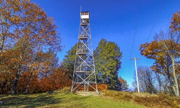 Rise and Shine: Nov. 8, 2021