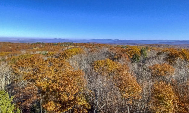 Rise and Shine: Nov. 12, 2021