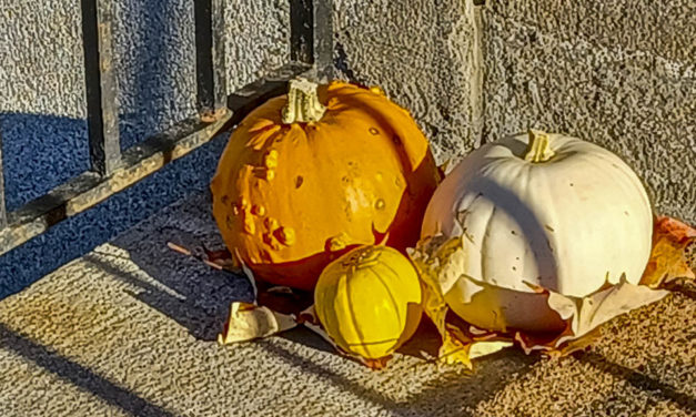 Rise and Shine: Nov. 16, 2021