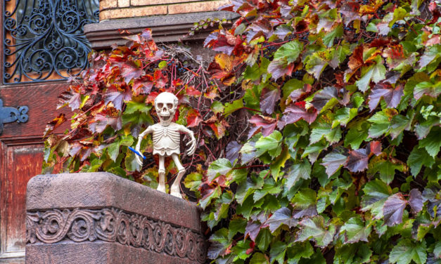 Rise and Shine: Nov. 5, 2021