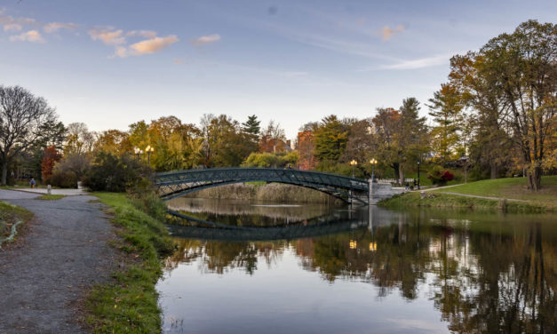 Albany Common Council Member alleges “Cancel Culture” in debate over Albany’s Capital Holiday Lights in the Park