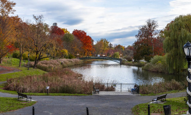 Rise and Shine: Nov. 19, 2021