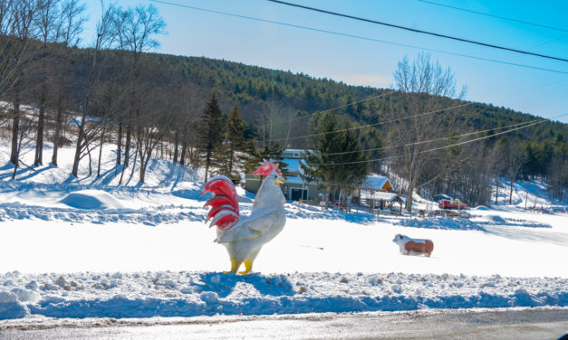 Rise and Shine: Feb. 7, 2022