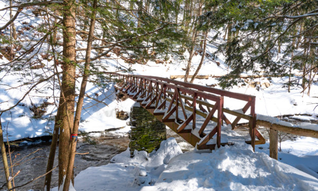 Rise and Shine: March 7, 2022