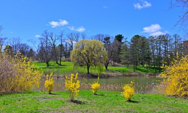 Rise and Shine: April 25, 2022