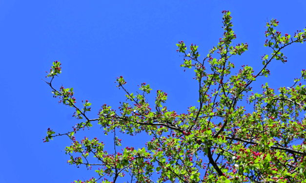 Rise and Shine: May 24, 2022